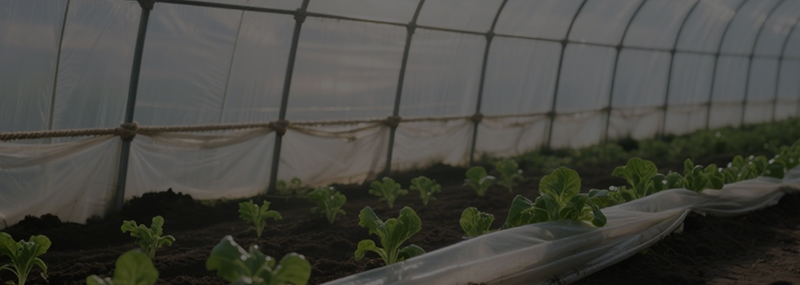 المواد الكيميائية للاستخدام اليومي